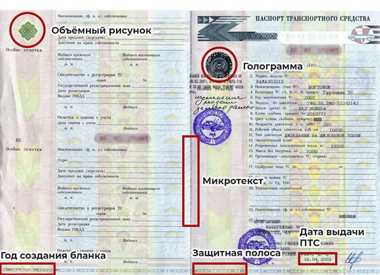 Сроки исполнения запроса на выписку